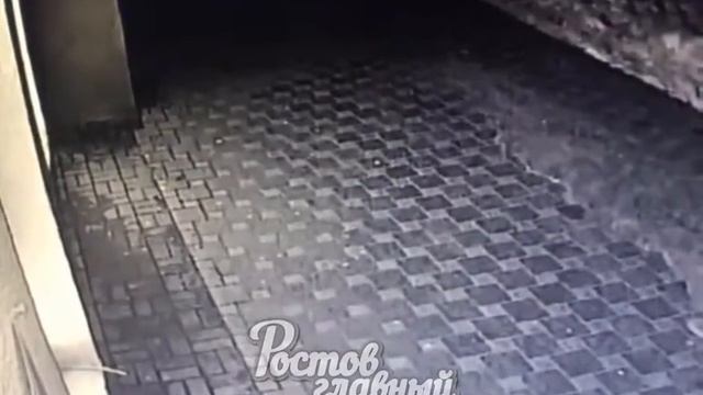 Ночью на Пушкинской украли 3 велосипеда 13 12 2018 Ростов на Дону Главный смотреть онлайн