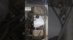 газель  одна из причин выбрасывания тосола , решено .