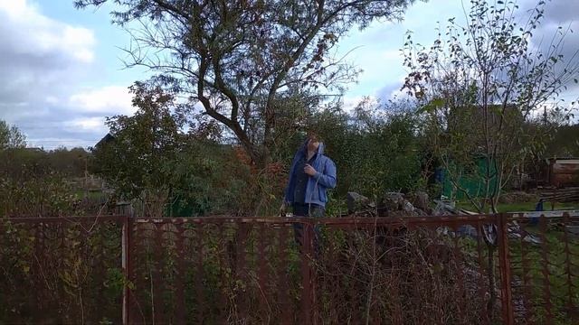 Пересадка Молодых Деревьев и Срезаем Старые Деревья на дачном участке . Осень . смотреть онлайн