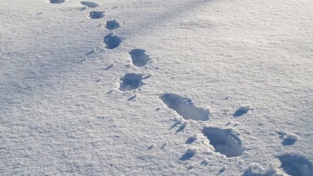 CНЕГ КРУЖИТСЯ смотреть онлайн