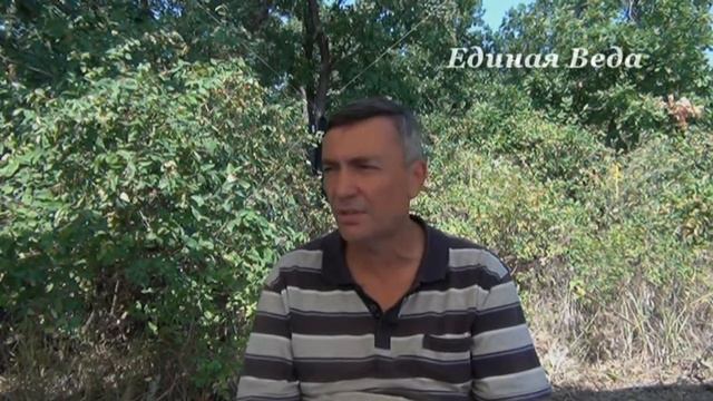 Как возникает Корысть смотреть онлайн