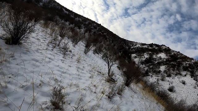 Охота на кеклика.Кожо кайыр новое место.Кыргызстан 19 декабря 2022 г. смотреть онлайн