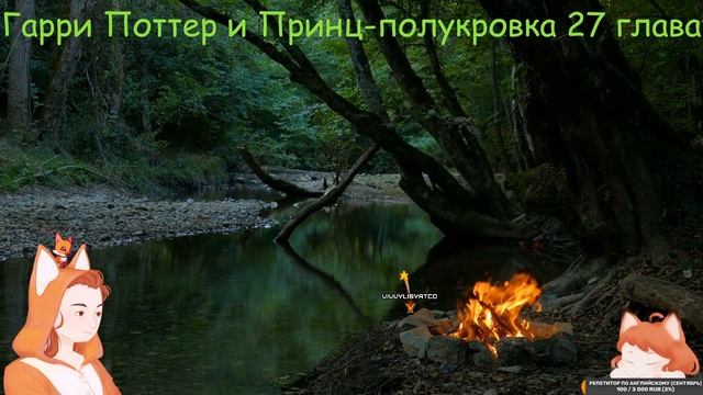 Чтение "Гарри Поттер и принц-полукровка" 26-30 главы смотреть онлайн