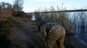 Ловля на фидер. Язь. Фидер гам. Рыбалка на Иртыше 2017  18+ ОМСК