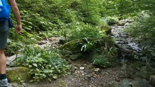 ВЛОГ БЕРЕНДЕЕВО ЦАРСТВО/ЗАВТРАК В НАТАЛИ/НА МОРЕ смотреть онлайн