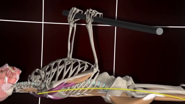 10 СОВЕТОВ ДЛЯ ЛУЧШЕЙ ПРОКАЧКИ ПЛЕЧ! смотреть онлайн