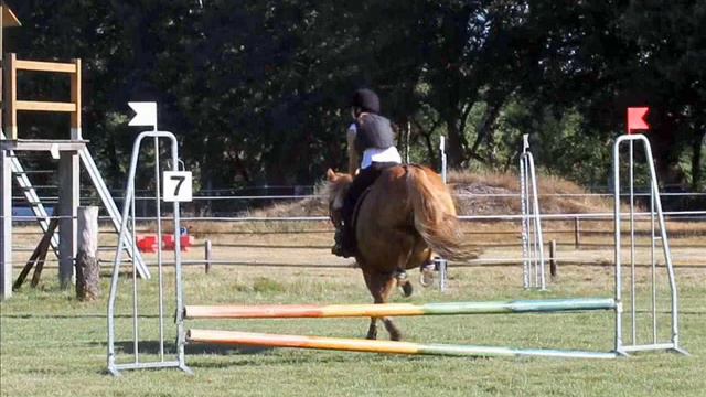 11 Août 2013 CSO Bauer 50cm Léa et VdS photos Camille смотреть онлайн