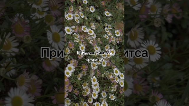 Маленькое напоминание смотреть онлайн