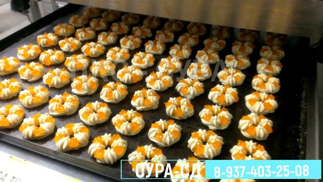 Отсадочная машина СУРА - СД для сдобного, песочного теста. смотреть онлайн
