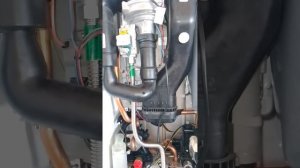 Котёл Протерм Рысь Конденсационный! Protherm lynx condens 30.Часть 2