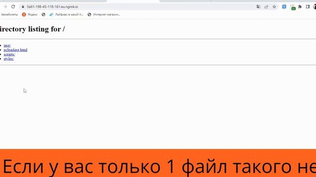 Нгрок как запустит сайт на туннеле //  ERR_NGROK_8012 // NGROK How To Use