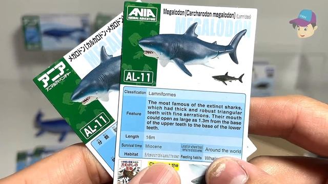 8 Amazing Sea Animals - Shark, Whale Shark, Orca, Megalodon, Mosasaurus Takara Tomy Ania смотреть онлайн