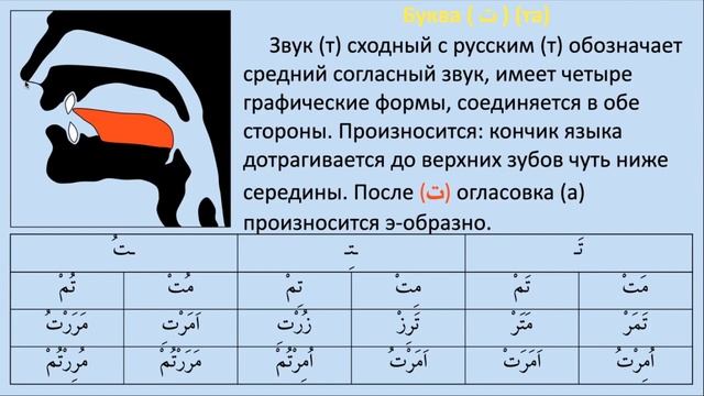 Онлайн-лекция на тему: «Графические формы букв арабского алфавита: буквы "Мим", "Та", "Нун"» смотреть онлайн