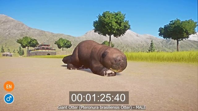 Fluffy Aquatic Animals Speed Races in Planet Zoo includes Elephant, Alligator Otter Bear Monkey смотреть онлайн