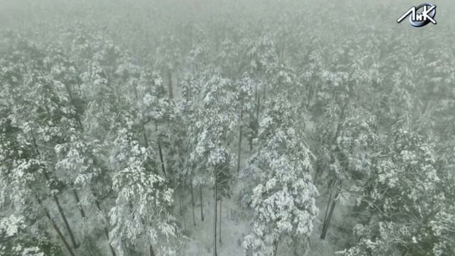 Ленинградская область поможет другим регионам смотреть онлайн