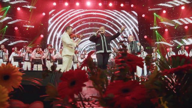 FUEGO - COLAJ DE PETRECERE GICĂ PETRESCU