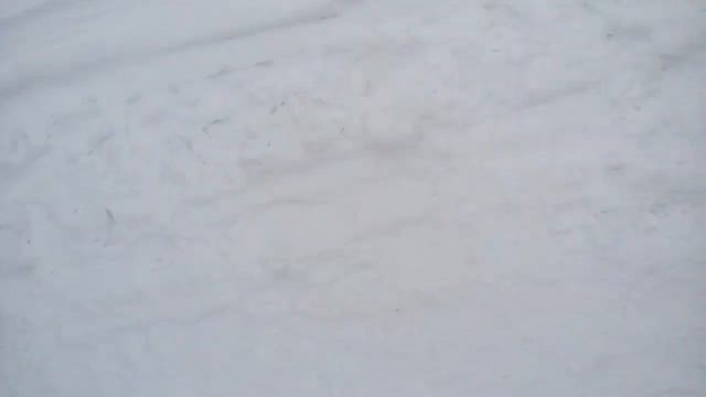 Зимний трейл АВРОРА ТРЕЙЛ (AURORA TRAIL) 2019 видео Кандалакша, 23 03 2019 смотреть онлайн