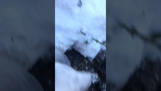 Что делать если саженцы пришли поздно 19.11.22 🧐 смотреть онлайн