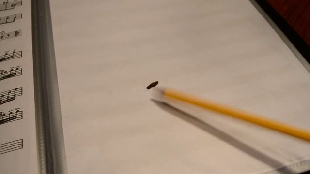 Жук-щелкун. Madagascar. Click beetle смотреть онлайн