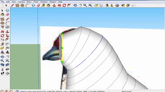 how to modeling a bird in sketchup software tutorial for beginners in Urdu for beginners смотреть онлайн