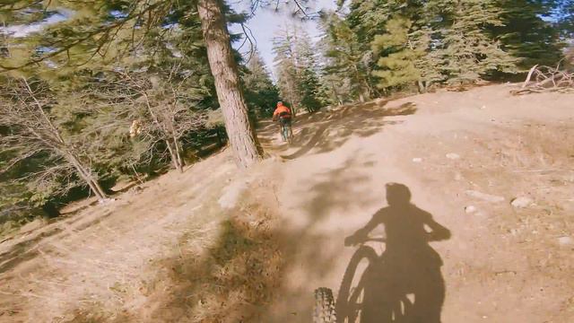 A Fantastic Undiscovered Bike Park! смотреть онлайн