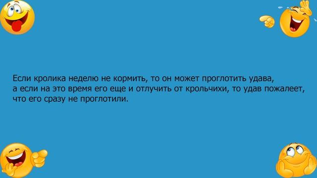Анекдот про кролика и удава смотреть онлайн
