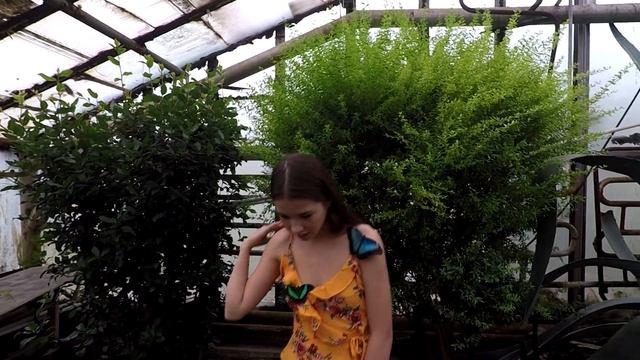 Фото проект c бабочками зимой. Модельное агентство Snedkoff Models смотреть онлайн