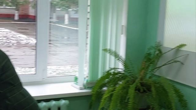 Урок литературного чтения по теме: «Л. Н. Толстой «Котёнок»(фрагменты) для учащихся 2 класса. смотреть онлайн