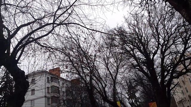 0939, город Орёл, бульвар Победы, улица Октябрьская, ул. Полесская, перекрёсток, старинные деревья, смотреть онлайн