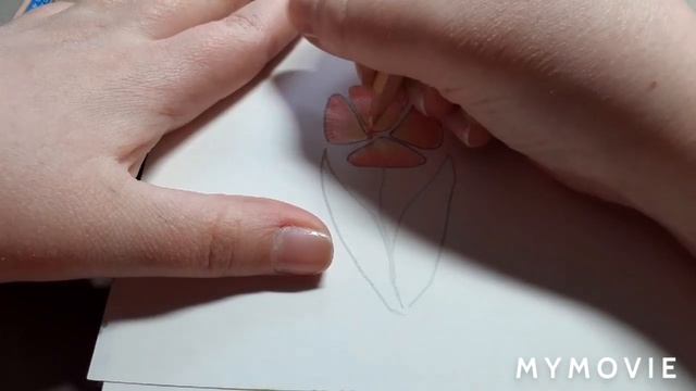 Как нарисовать волшебный цветок карандашами смотреть онлайн