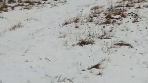 "Я бы прыгнула в эту реку, если бы не было человека, который утонет, если прыгнет за мной..."