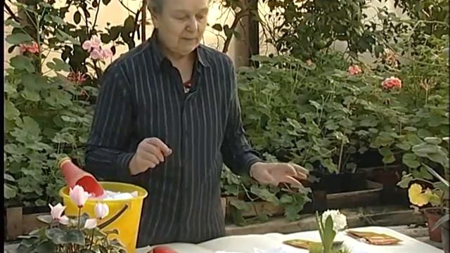 Садовник рекомендует№109 20 01 16 13 30