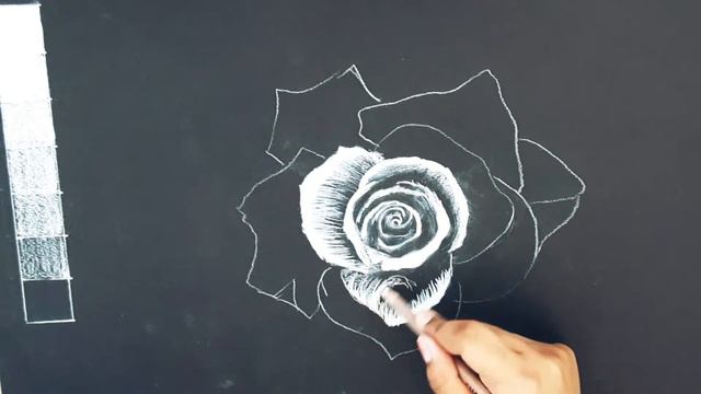Black and White Rose Drawing смотреть онлайн