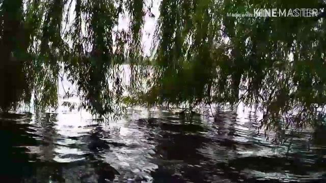 Киев- Вырлица... смотреть онлайн
