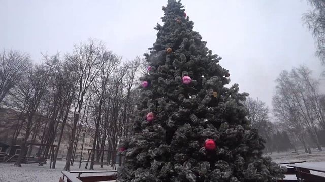Новогодние ёлки в городе уже нарядили. #новыйгод #елки #праздник смотреть онлайн