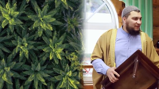 9) Эволюция или сотворение ?