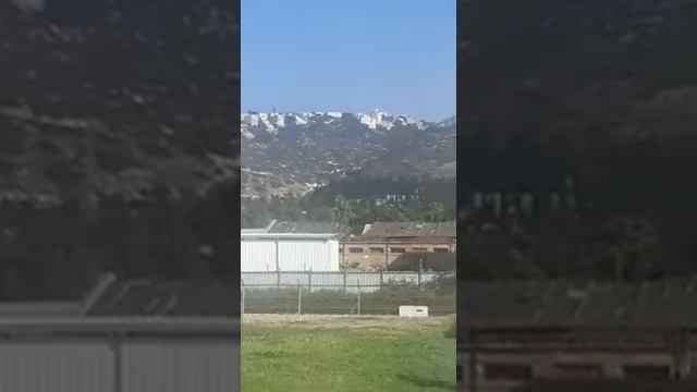 правила ДЗЮДО смотреть онлайн