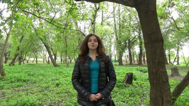 Желе: наслаждение от приготовления до употребления