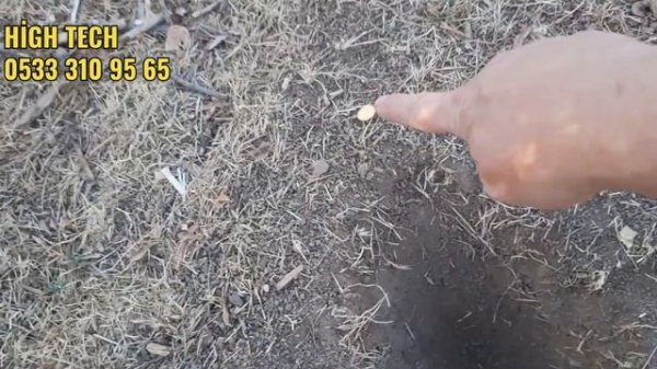 Nokta simplex ultra - Minelab x-terra pro