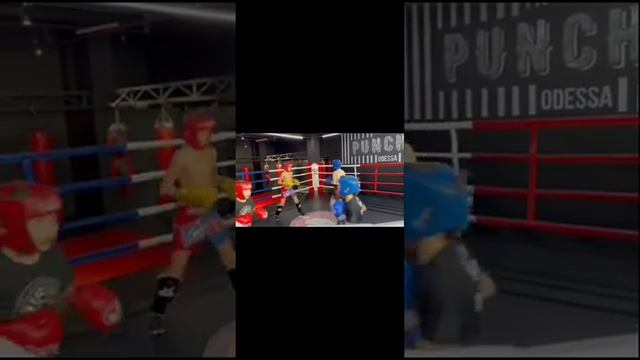 Тренировка Кикбоксинг | Box | Спарринги ? смотреть онлайн