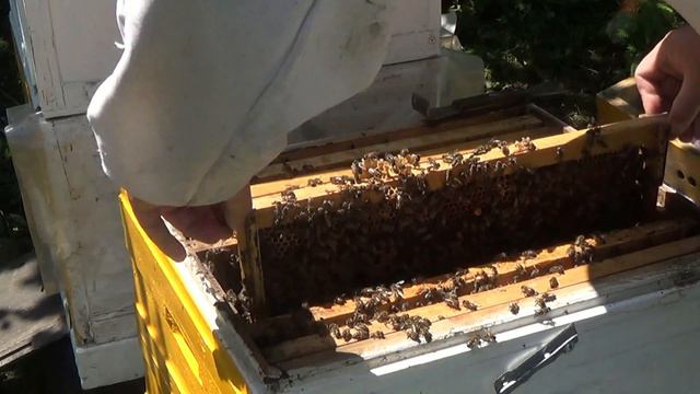 Достать матку смотреть онлайн