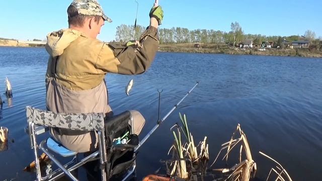 Ловля КАРАСЯ НА КЕРОСИН Рыбалка на поплавочную удочку в мае смотреть онлайн