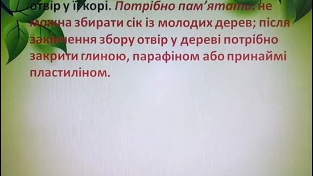 Я досліджую світ 1 клас. Рослини на весні. смотреть онлайн