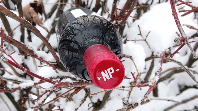 Introducing "Well Red" by: Italia Ricci x Nocking Point смотреть онлайн