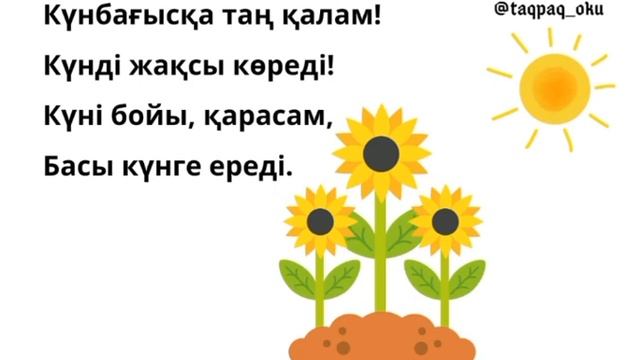 Авторские адаптивные стихотворения на казахском языке для детей. Күнбағыс туралы тақпақ. смотреть онлайн