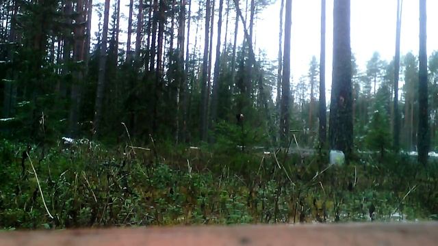 сколько кубов я заготавливю,второй день работы в новой делянке смотреть онлайн