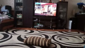 Как стать полицейским в GTA V На Playstation 5