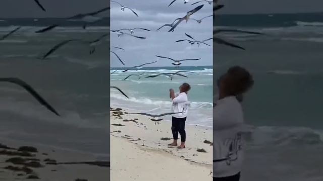 КУБА о.КАЙО - КОКО БЕРЕГ ОТЕЛЯ TRYP смотреть онлайн