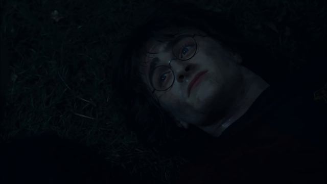 Монолог Волан де Морт из фильма «Гарри Поттер и Кубок Огня»