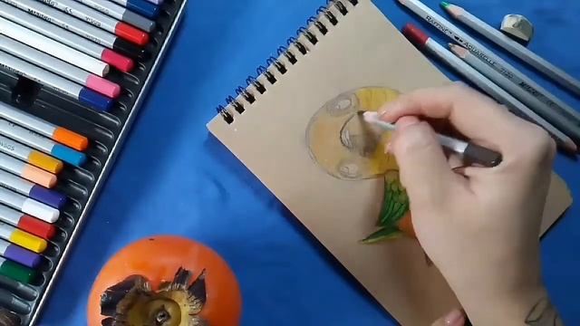 Как нарисовать попугая?